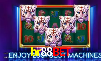 Game shows ao vivo